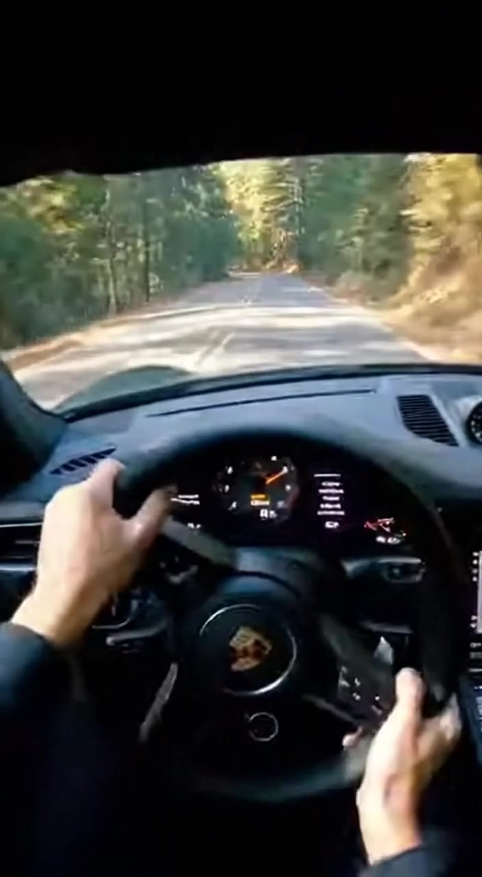 A Driver Navigates a Winding Forest Road.